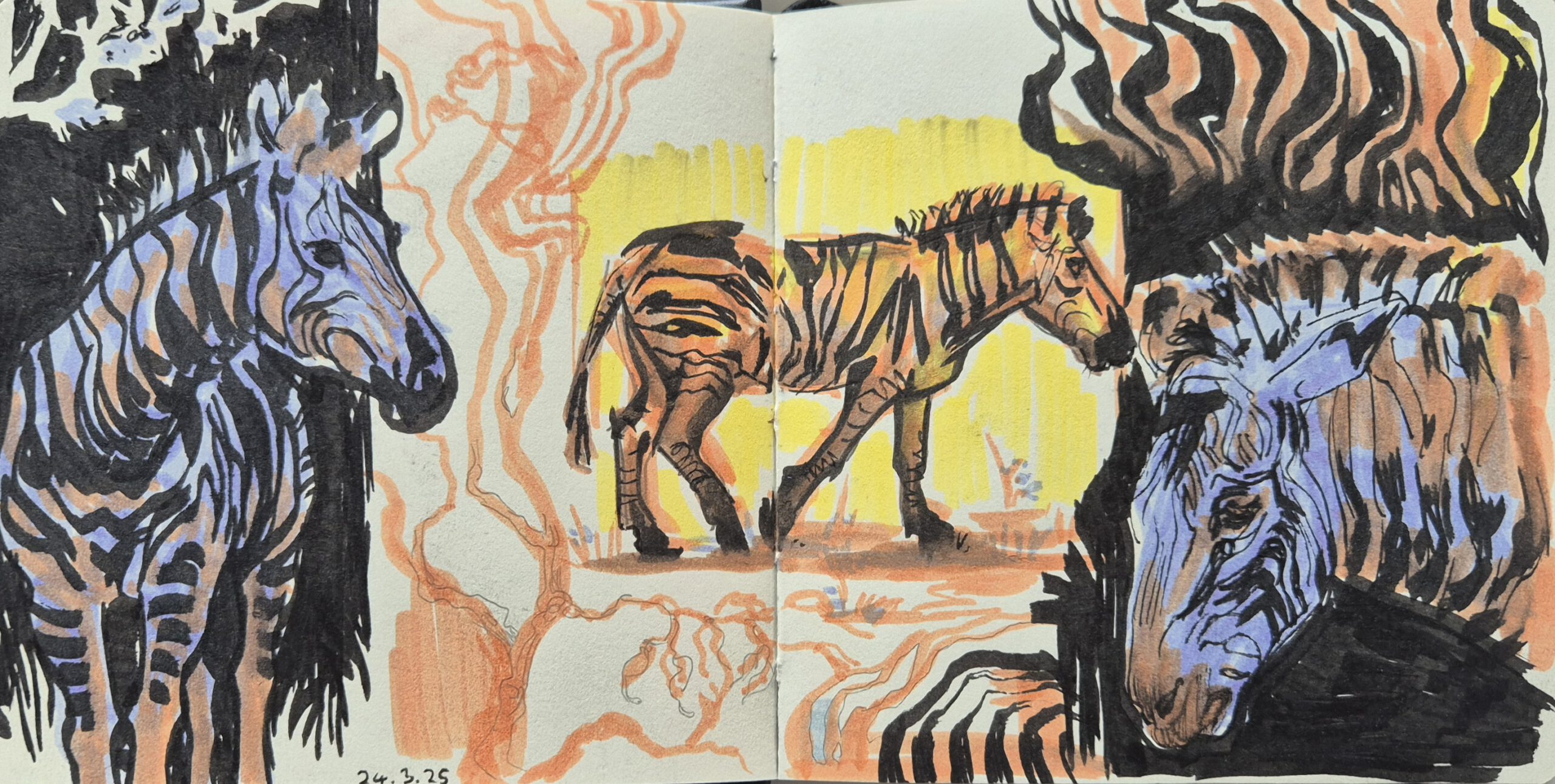BUNTE ZEBRAS